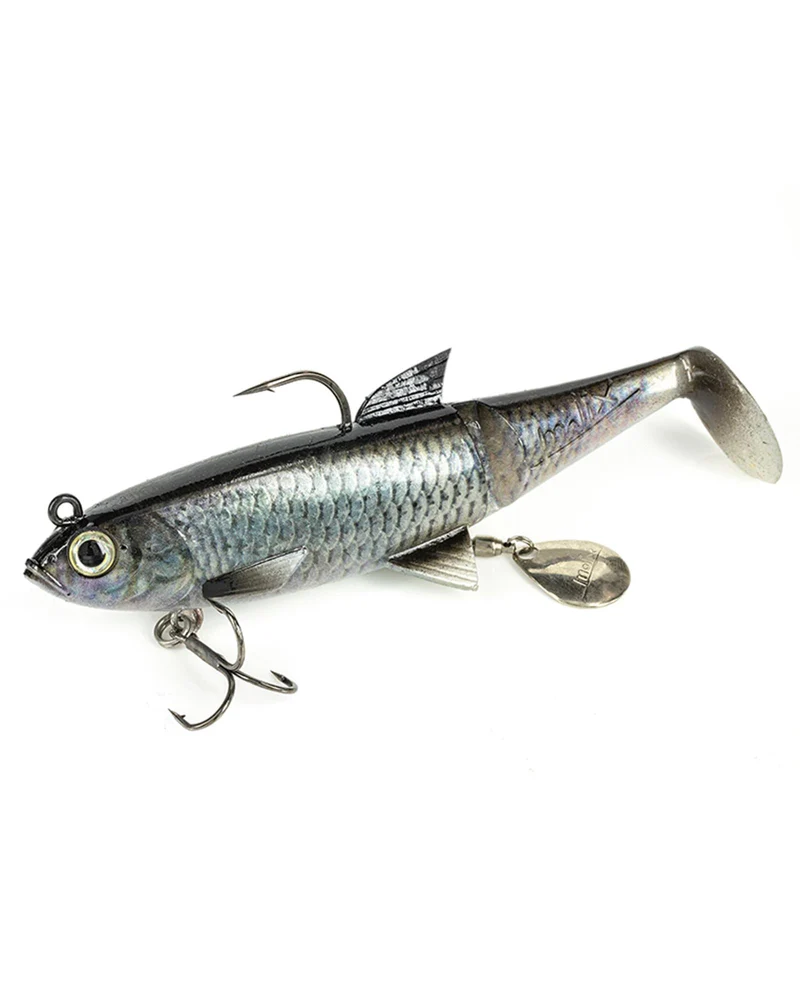 Shad 100 - Live Chub
