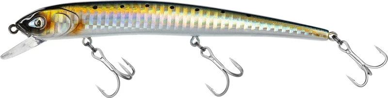 Audace Evo 130SS Real Sarda