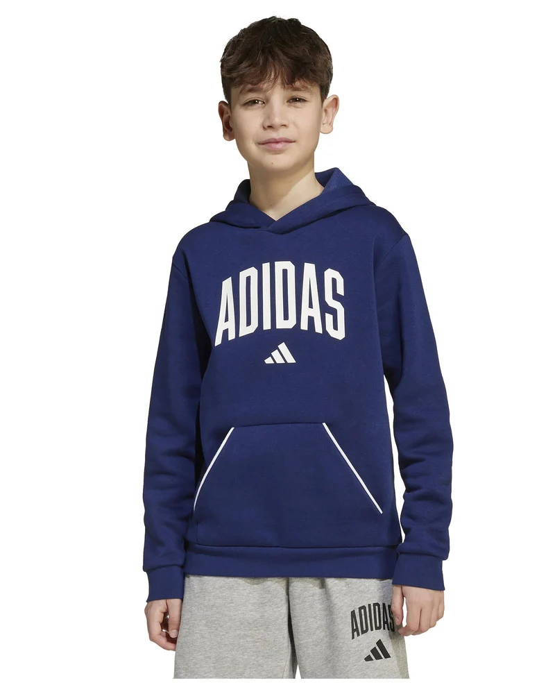 Felpa con Cappuccio Bambino Seasonals Essentials Collegiate
