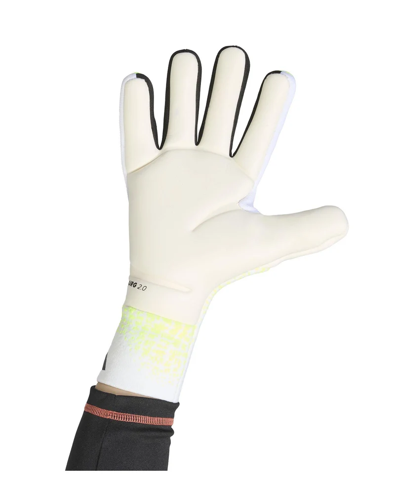 Guanti da Portiere Predator Pro
