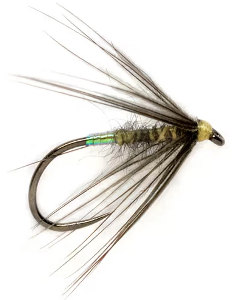 Procter's Pearly Butt Bloa Senza Ardiglione
