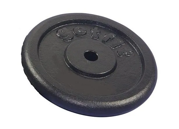Dischi in ghisa 20kg