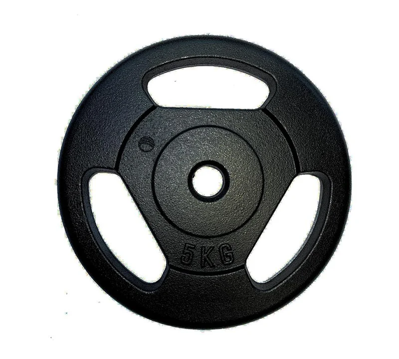 Disco in ghisa palestra 5 kg