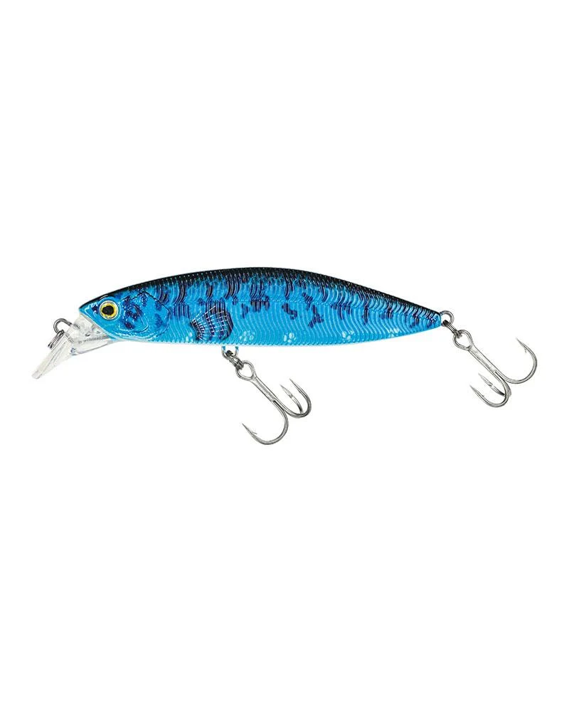 Rolling Minnow 60 Fishing & Biodiversity Color