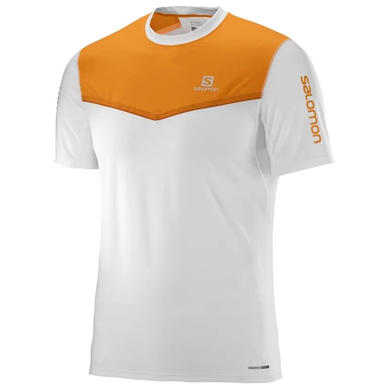 Fast Wing SS Tee Uomo