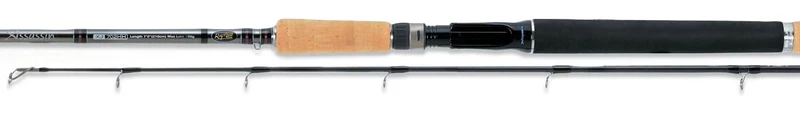 Canna da pesca Assassin XJ