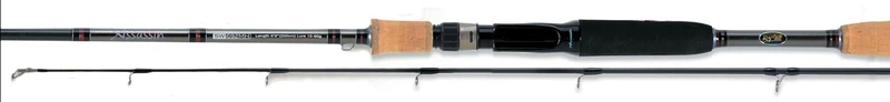 Canna da pesca Assassin SW