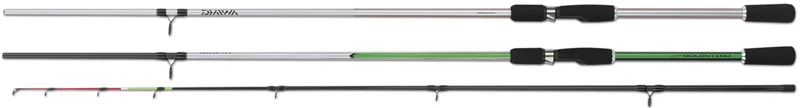 Canna Carbon Bolentino