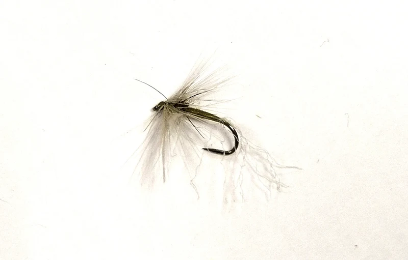 Mosca secca DRY-WOG-01