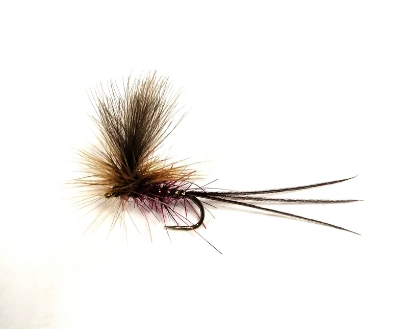 Mosca secca DRY-VB-02