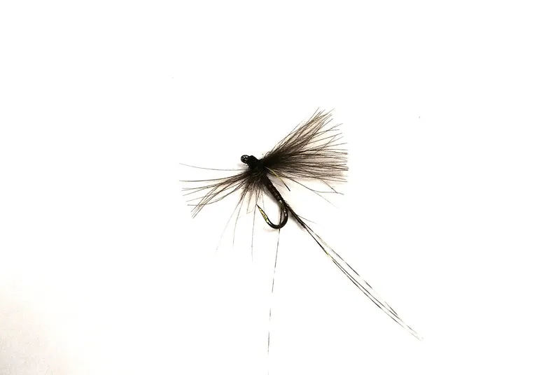 Mosca secca DRY-PKB-01