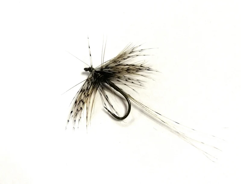 Mosca secca DRY WBK