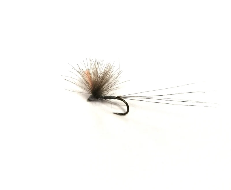 Mosca secca DRY-PKW-01